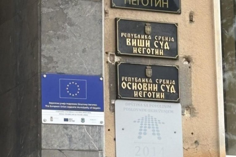 Viši sud u Negotinu
